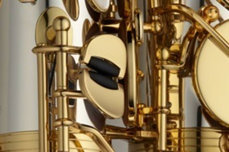 Tenorsaxofon Yanagisawa T-WO20 Elite Bronze